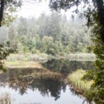 Hiking Lake Matheson Fox Glacier New Zealand