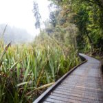 Hiking Lake Matheson Fox Glacier New Zealand