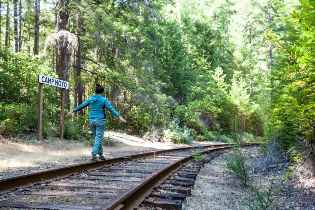 Mendocino Camping Camp Noyo Skunk Train