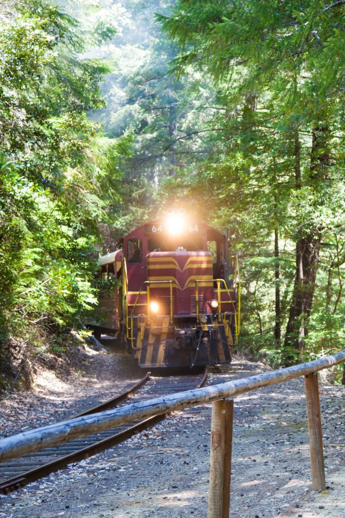 Mendocino Camping Camp Noyo Skunk Train