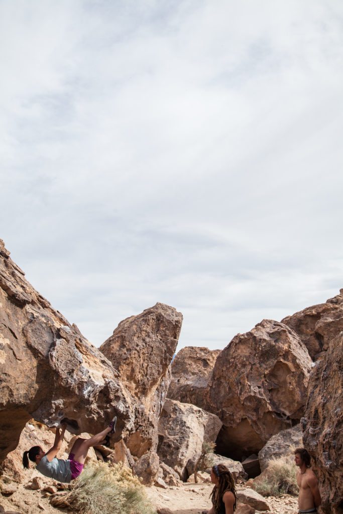 Desert Renewable Energy Conservation Plan DRECP