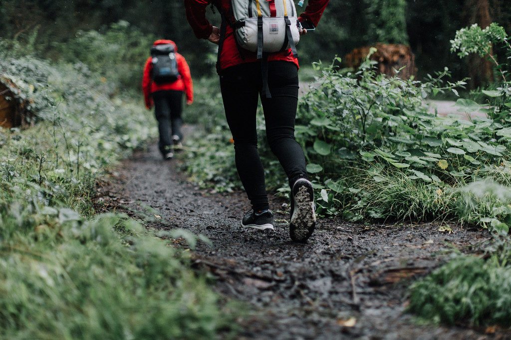 Urban Hiking San Francisco Seven Summits