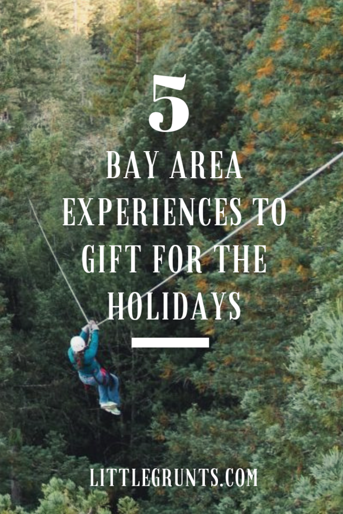 Bay Area Experiences Gift Guide