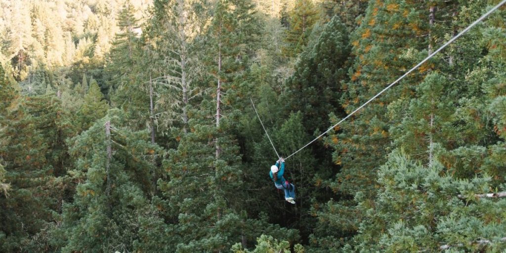 Sonoma Canopy Tours Ziplining Bay Area Experiences