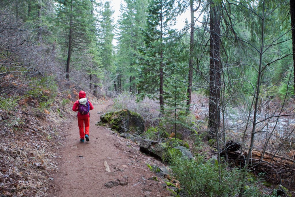 Hiking McCloud Falls Mount Shasta