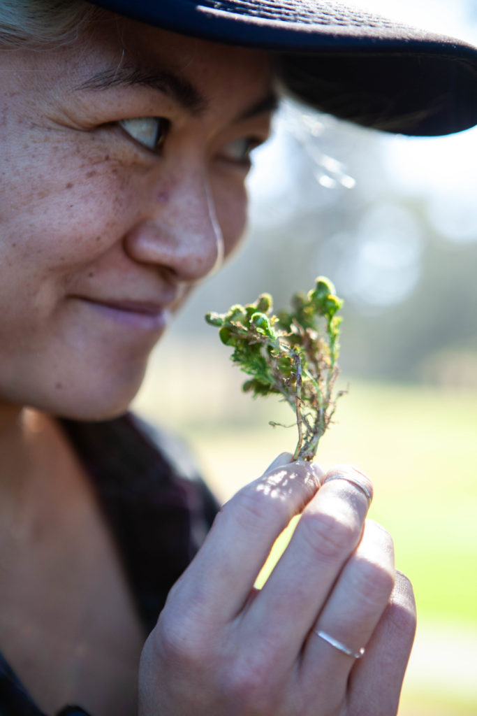 Ferment and Forage Experience Little River Inn Mendocino Countryman Forager