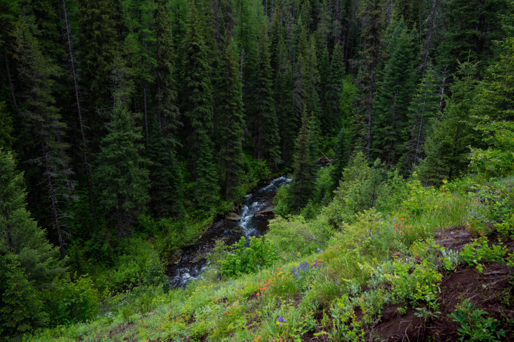 Backpack to the Minam River Lodge