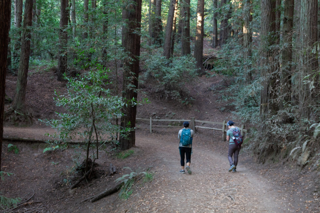 sequoia bayview trail