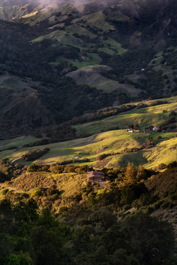 Stepladder Ranch and Stepladder Creamery