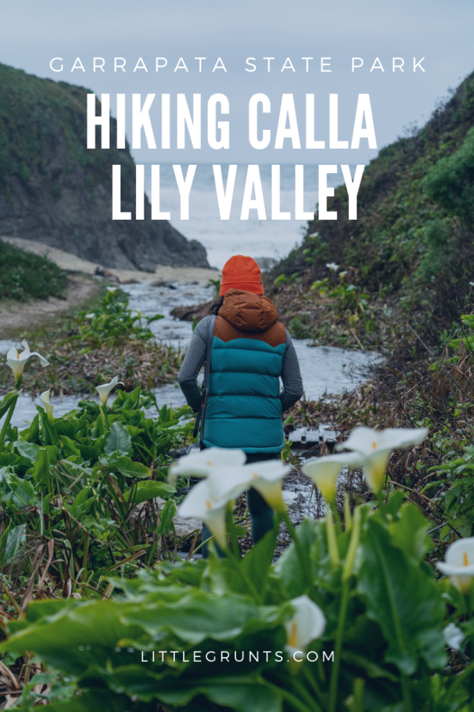 Hiking Calla Lily Valley in Garrapata State Park, Big Sur, CA