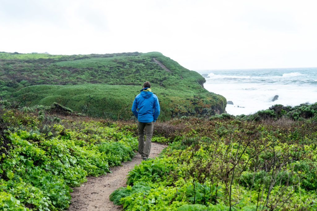 Hiking Calla Lily Valley in Garrapata State Park, Big Sur, CA