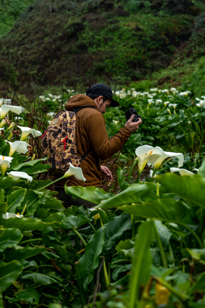 Hiking Calla Lily Valley in Garrapata State Park, Big Sur, CA