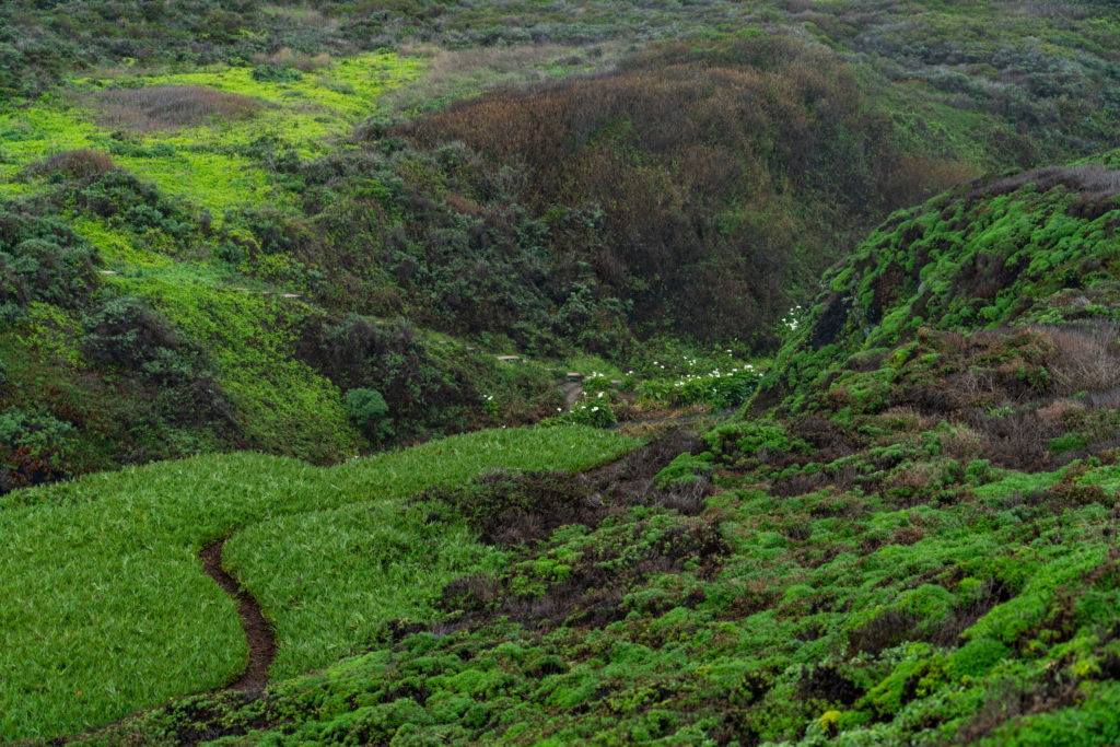 Hiking Calla Lily Valley in Garrapata State Park, Big Sur, CA