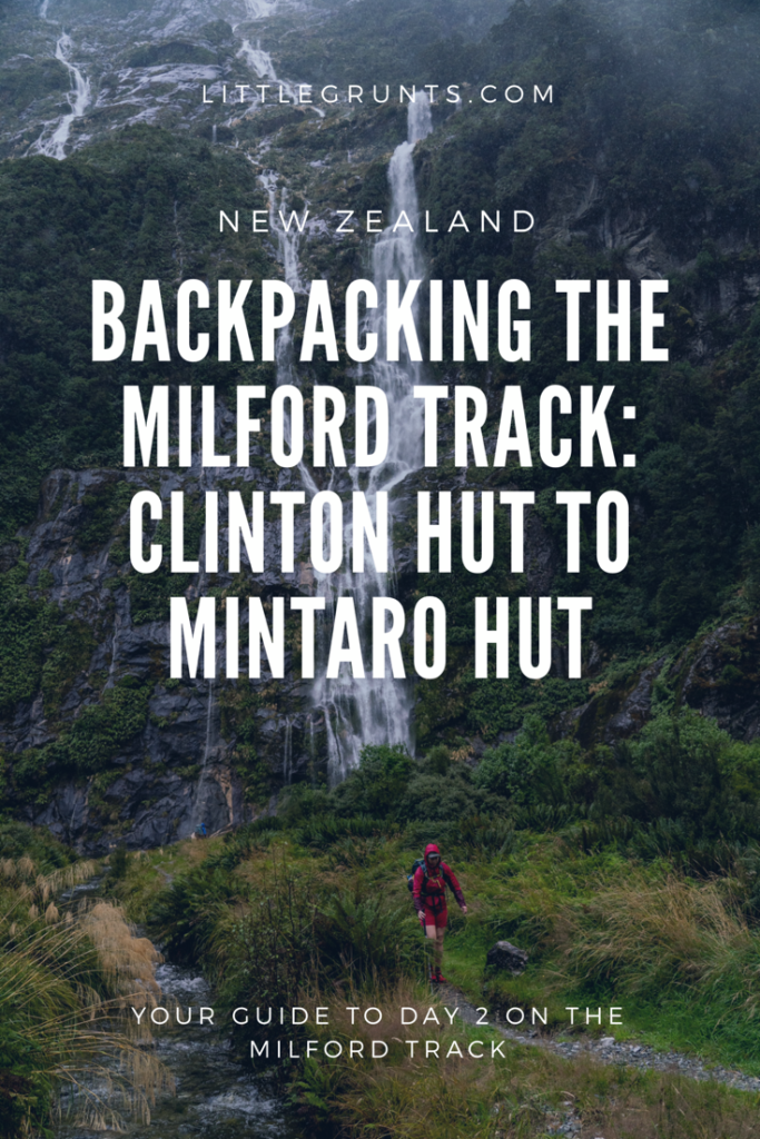 Backpacking the Milford Track Clinton Hut to Mintaro Hut