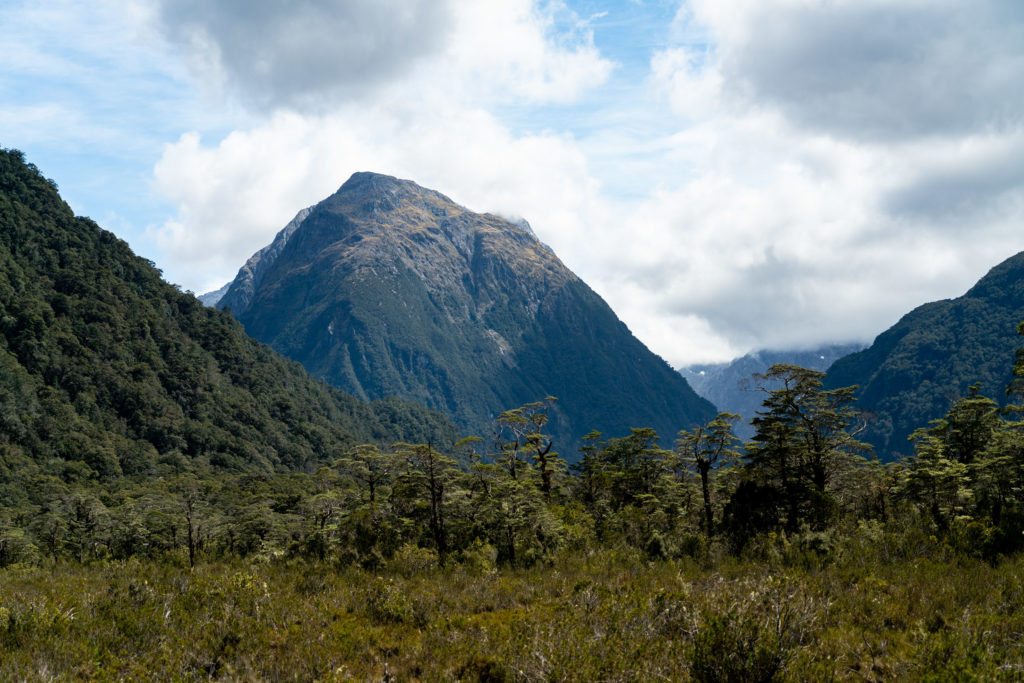 Backpacking the Milford Track to Clinton Hut