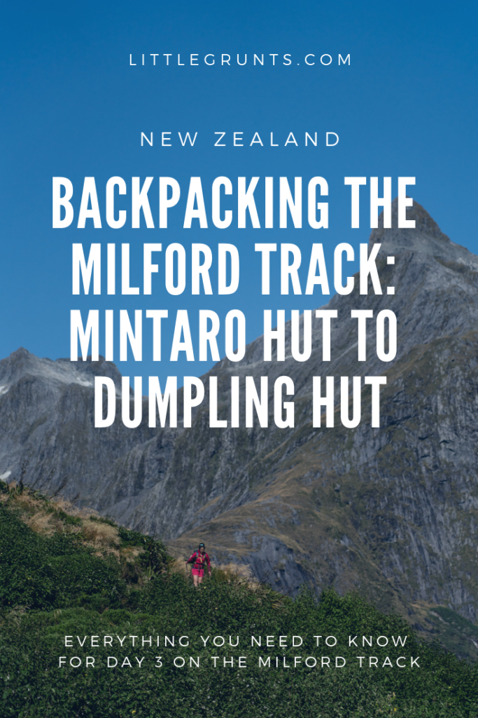 Backpacking Milford Track from Mintaro Hut to Dumpling Hut