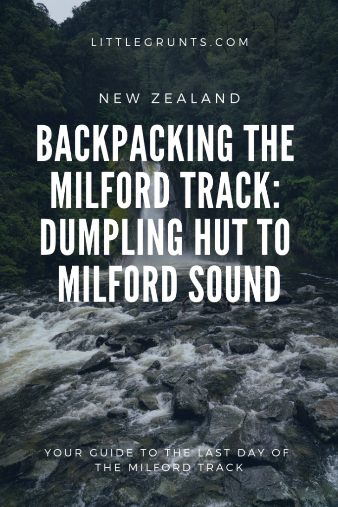 Everything you need to know for backpacking the Milford Track