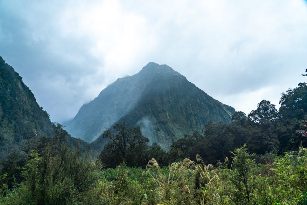 Backpacking Milford Track Dumpling Hut to Milford Sound