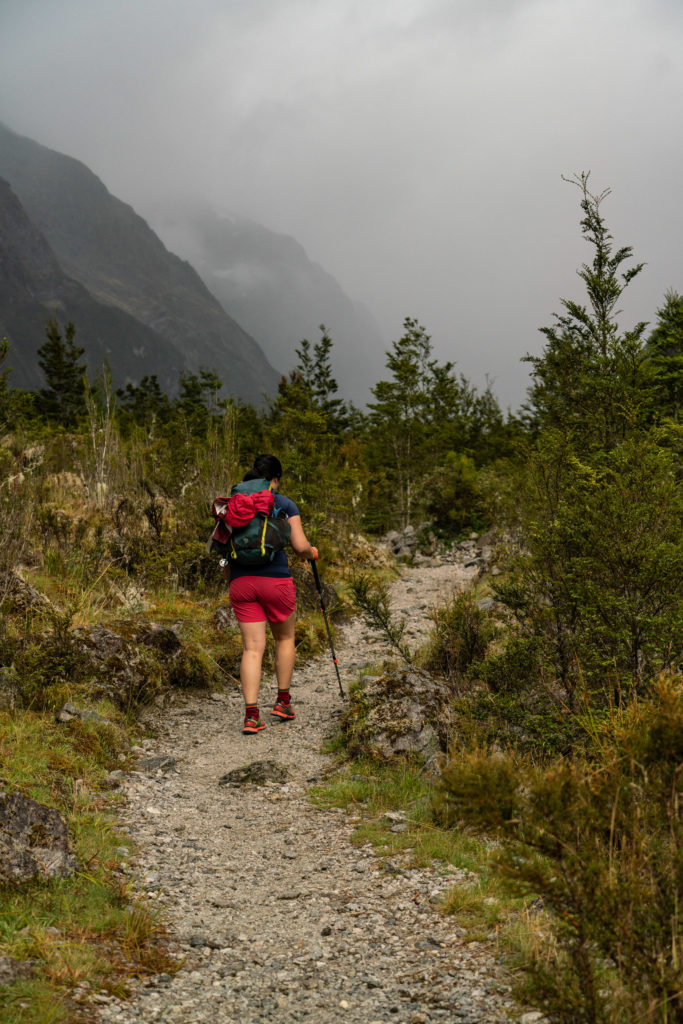 Milford Track, Day 2: Clinton Hut to Mintaro Hut - littlegrunts.com