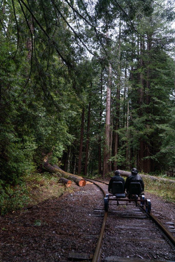 Riding the Skunk Train Railbike