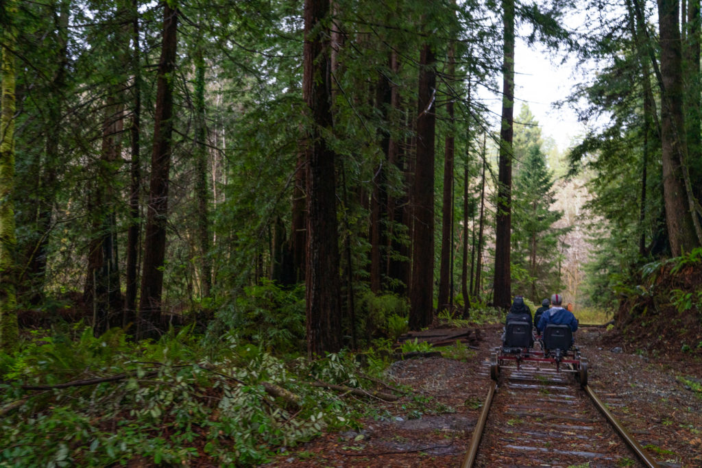 Riding Rail Bikes on Pudding Creek