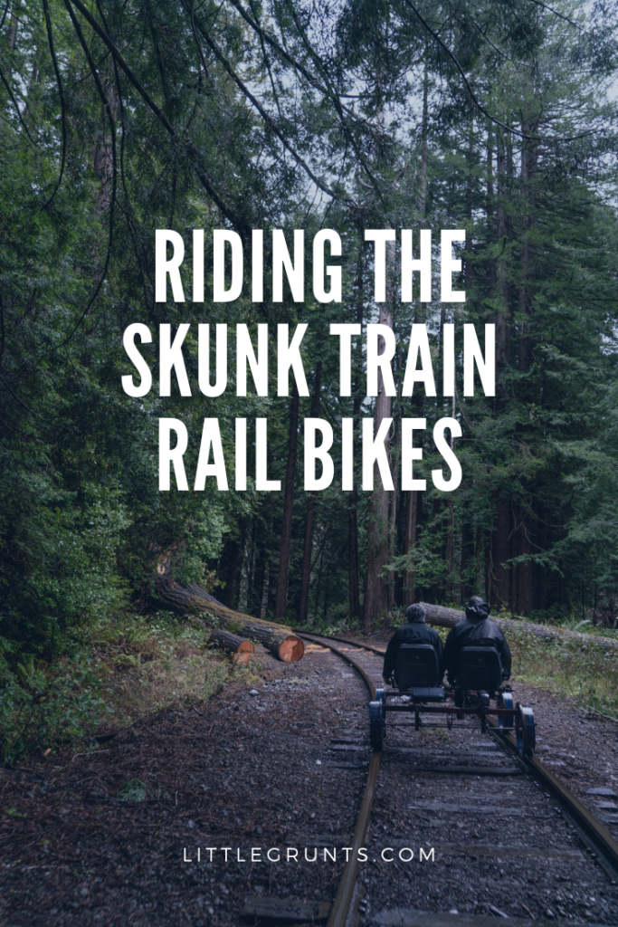 Riding the Skunk Train Railbike