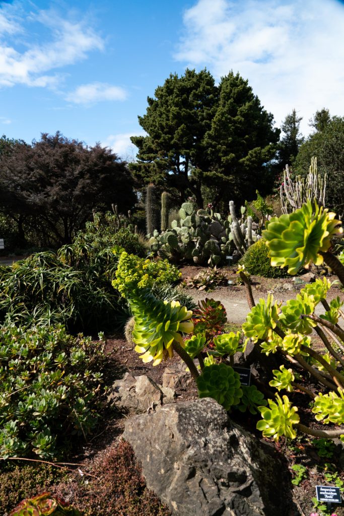 Mendocino Coast Botanical Gardens