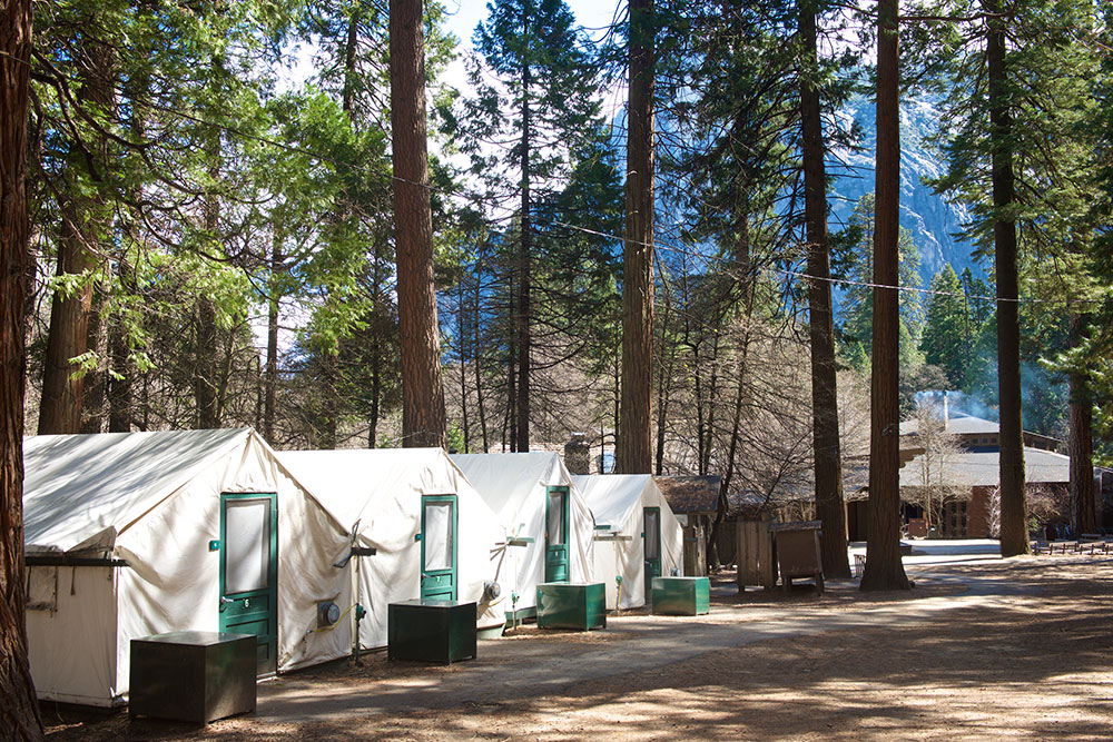 Best Places to Stay in Yosemite Curry Village