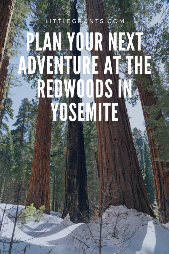 Stay at the Redwoods in Yosemite Review