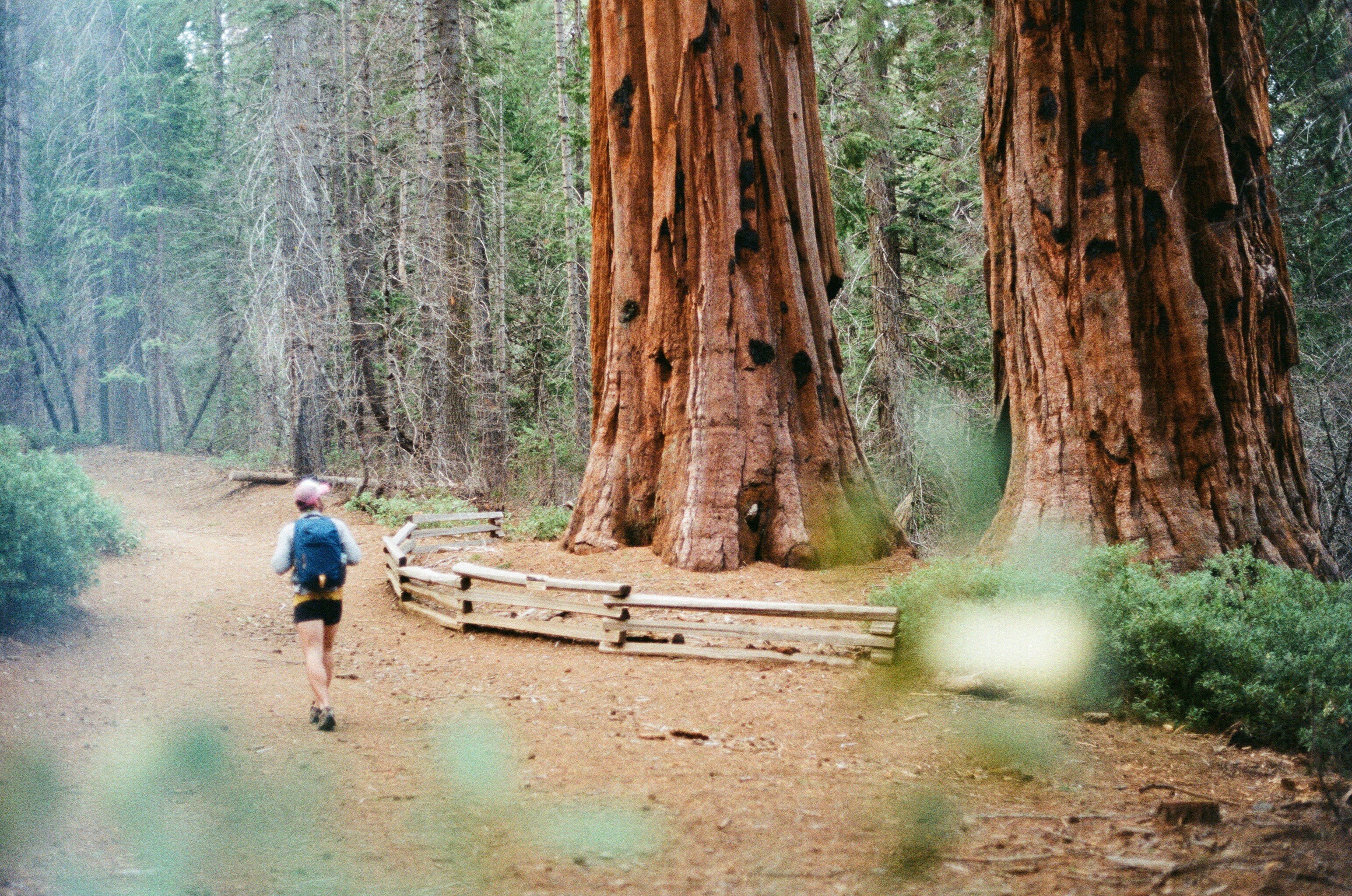 Merced grove trail deals
