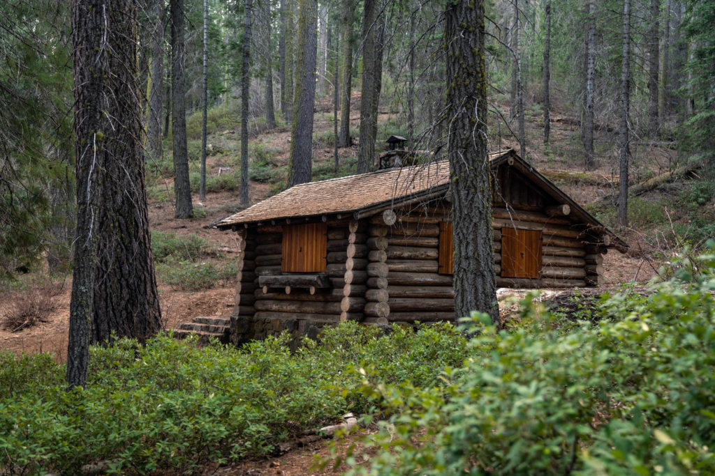 Hiking Merced Grove of Giant Sequoias