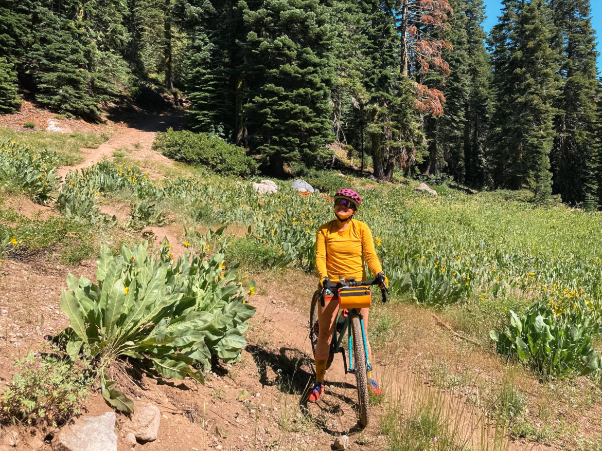 Wild Rye Eleanor Chammy Review