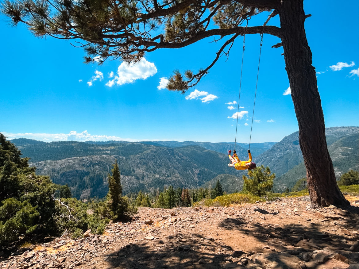 Wild Rye Holly Jersey Review