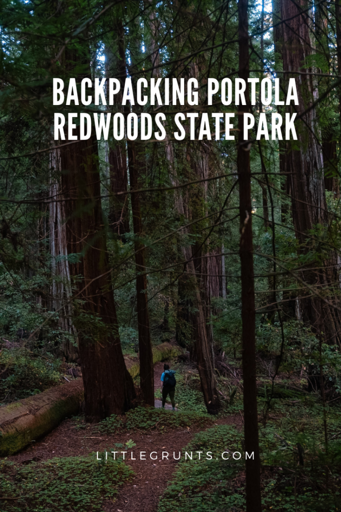 Backpacking Portola Redwoods State Park Slate Creek Trail Camp